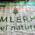 img 1131